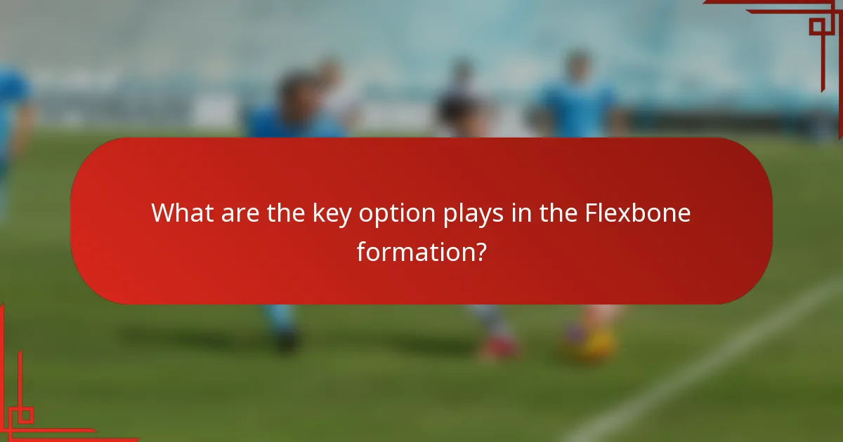 What are the key option plays in the Flexbone formation?