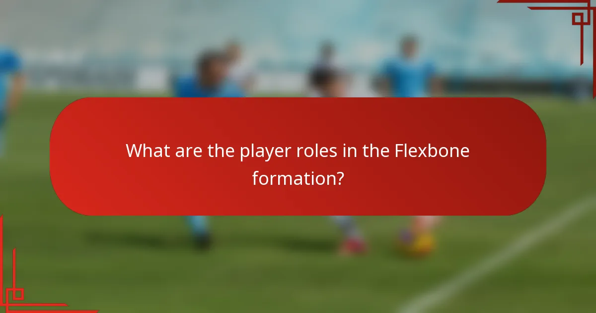 What are the player roles in the Flexbone formation?