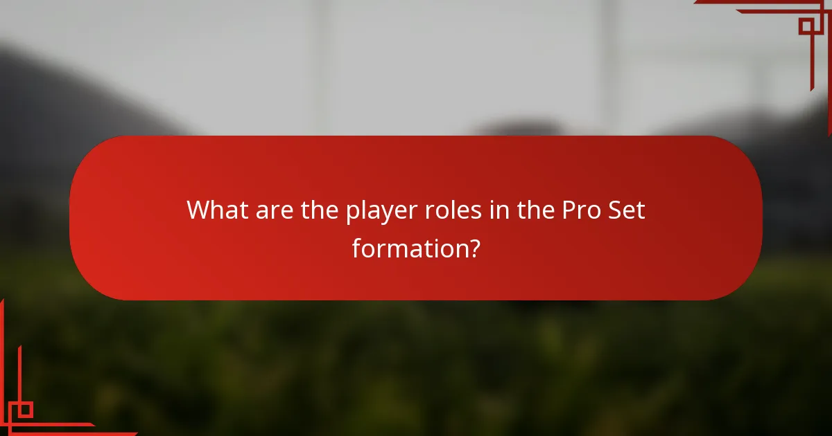 What are the player roles in the Pro Set formation?